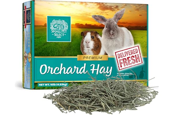 Small Pet Select Orchard Grass Hay Pet Food for Rabbits, Guinea Pigs, Chinchillas and Other Small Animals, Premium Natural Hay Grown in the US, 10 LB | Premium Natural Grass Hay, Grown in USA, Soft High Fiber Forage, For Chinchillas, Bunnies, Hamsters & Small Pets