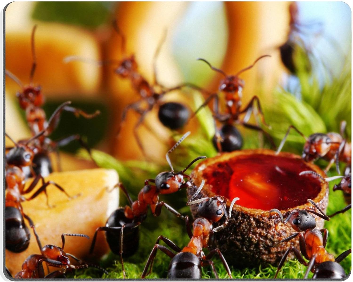 MSD Natural Rubber Mousepad ants drinking honey eating cake