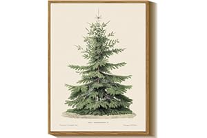 InSimSea Framed Canvas Wall Art, Vintage Christmas Decor, Living Room Pine Tree Winter Artwork, Botanical Fir Decor for Bedroom Bathroom, Cottagecore Xmas Holiday Decorations Gifts, 12x16 Inch