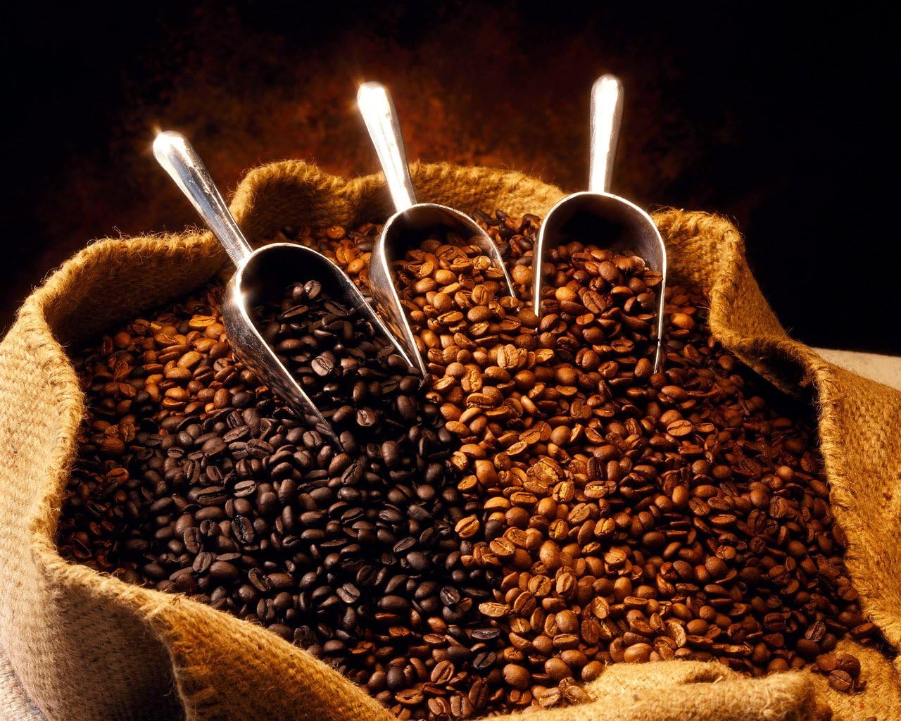 International Coffee Sampler, Dark Roast Coffee Beans (Ethiopian Harrar Grade 4 Coffee Beans, 1 pound Dark Roast Coffee Beans)