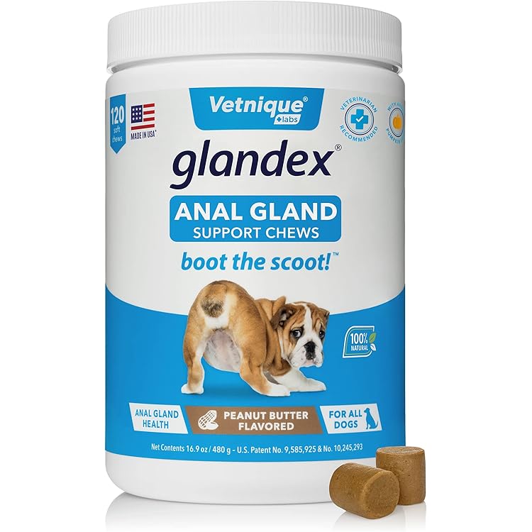 Advita Probiotic Powder For Dogs atelieryuwa.ciao.jp