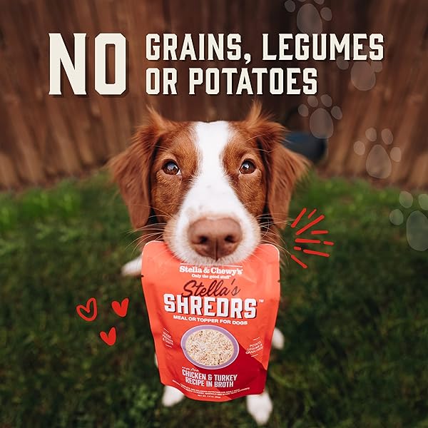 STELLA & CHEWY’S CAGE FREE CHICKEN & SALMON SHREDRS – PREMIUM DOG FOOD POUCHES – FREEZE DRIED RAW NUTRITION IN BROTH – PERFECT FOR PICKY EATERS- 12 PACK, 2.8OZ EACH