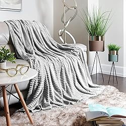 Clara Clark Cut Plush Fleece Throw Blanket - Twin