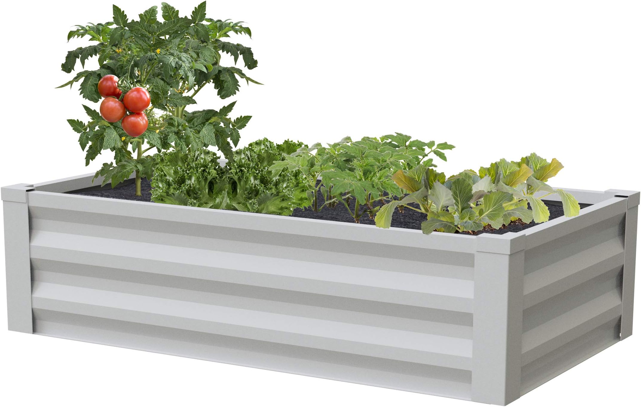 Greenes Fence White Powder-Coated Metal Raised Garden Bed Planter 24" W x 48" L