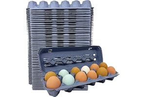 PECKING ORDER Blue Paper Pulp Egg Cartons - 50 Pack