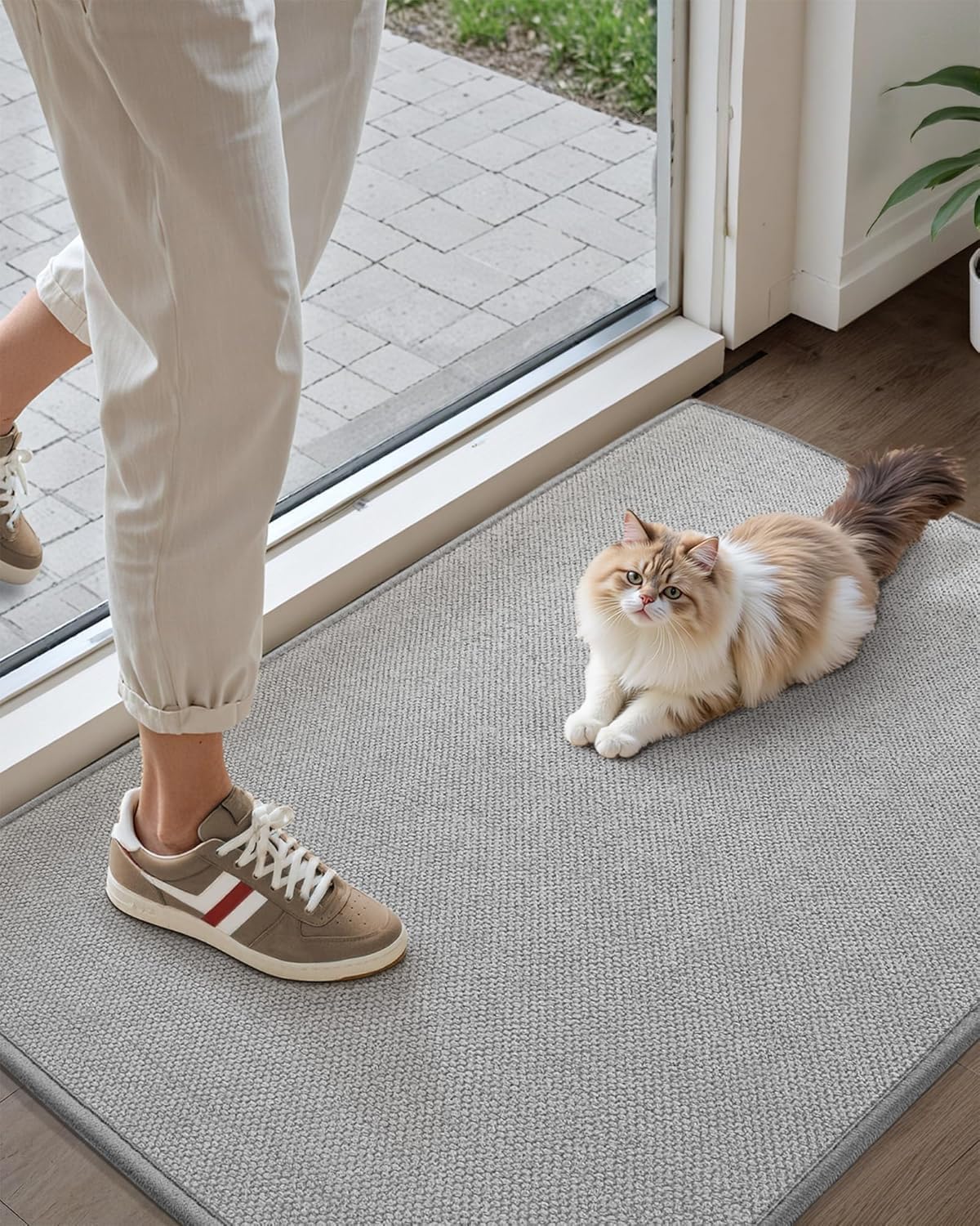 COLOR&GEOMETRY Door Matts Indoor 44x76 cm, Doormat Indoor Non-slip Dirt Trapper, Absorbent Inside Entrance Rug, Washable Low Profile Front Door Mats for Entryway, Light Grey(Rolled-up NO Creases)