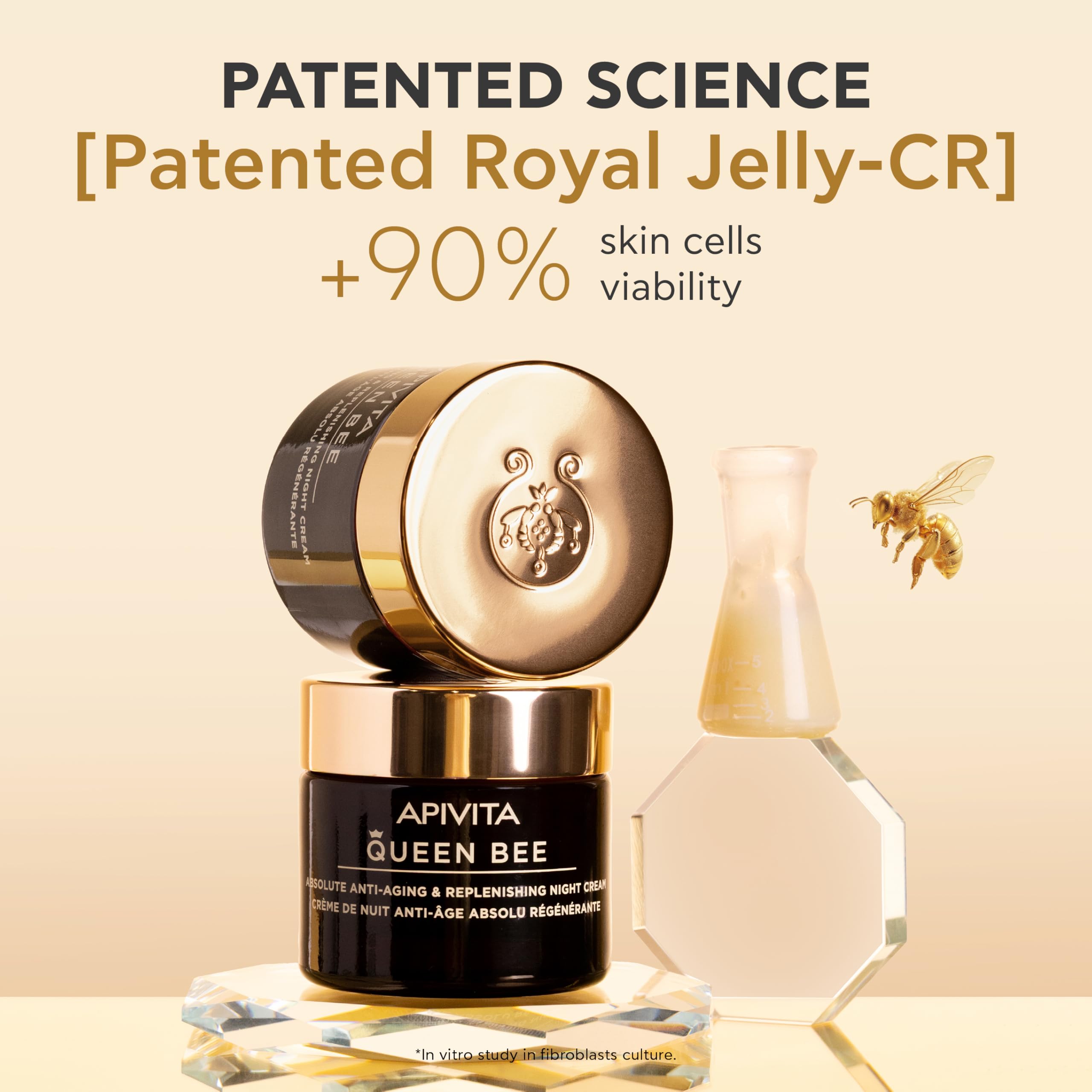 View 5