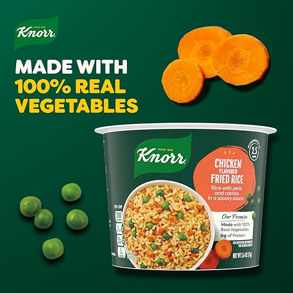 KNORR RICE CUP CHICKEN FLAVORED FRIED RICE DELICIOUS RICE DISH NO ARTIFICIAL FLAVORS OR PRESERVATIVES 2.6 OZ