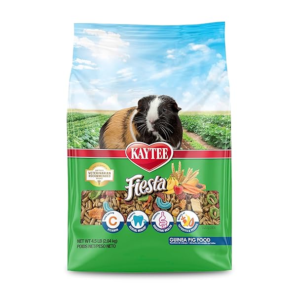 KAYTEE FIESTA GUINEA PIG FOOD, NUTRITIOUS AND FUN...