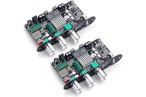 ARRAROWN 2 Pack ZK-1001U Bluetooth 5.3 Mono Amplifier Board with TWS & Boost Circuit, Mini Audio Amp for Home Outdoor DIY Speakers with 100W Power Output, Treble and Bass, USB/AUX/BT Input, DC 9-24V