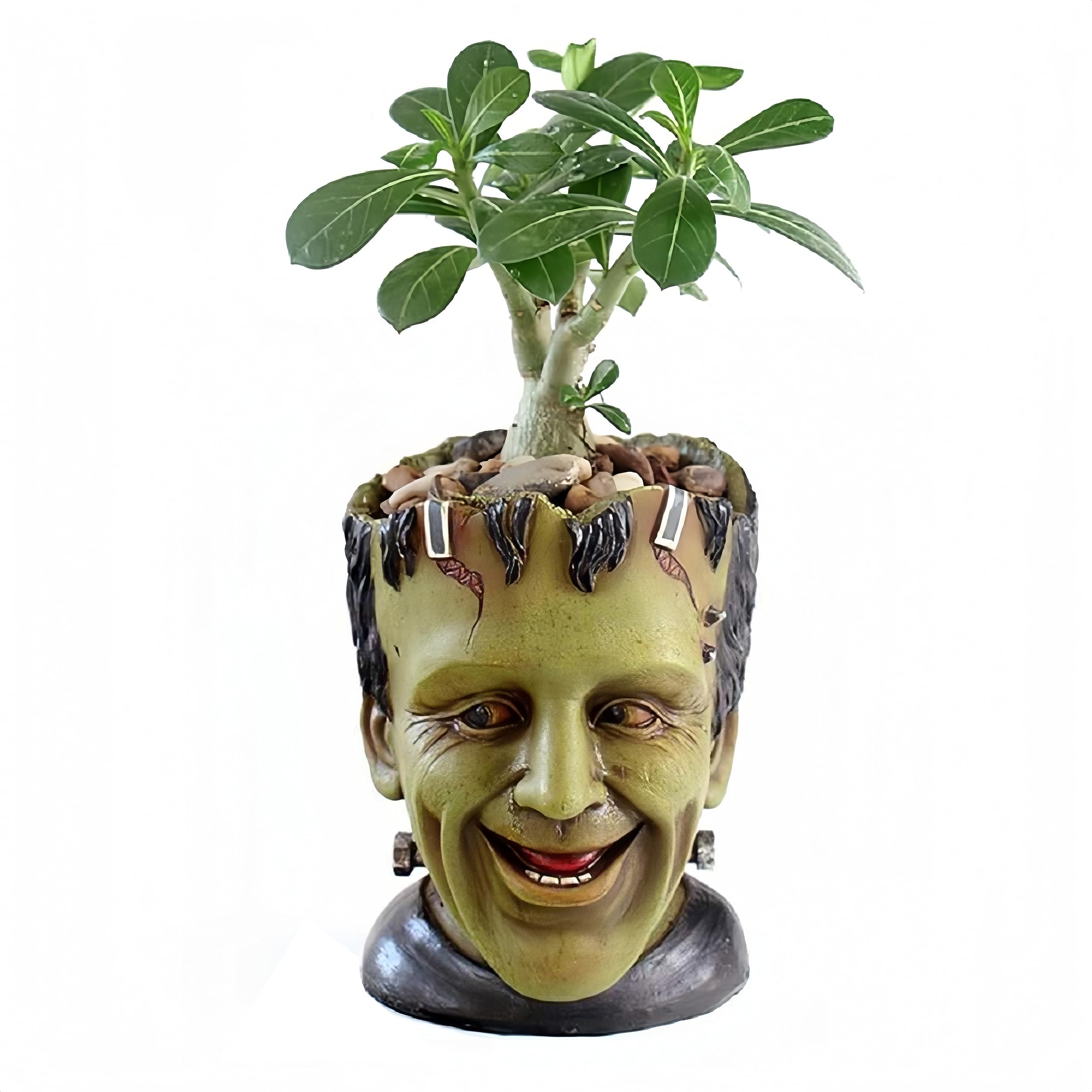 Youfui Funny Planter Head Planter with Drainage Hole Resin Plant Pot Pencil Holder Desk Storage (Frankstein)