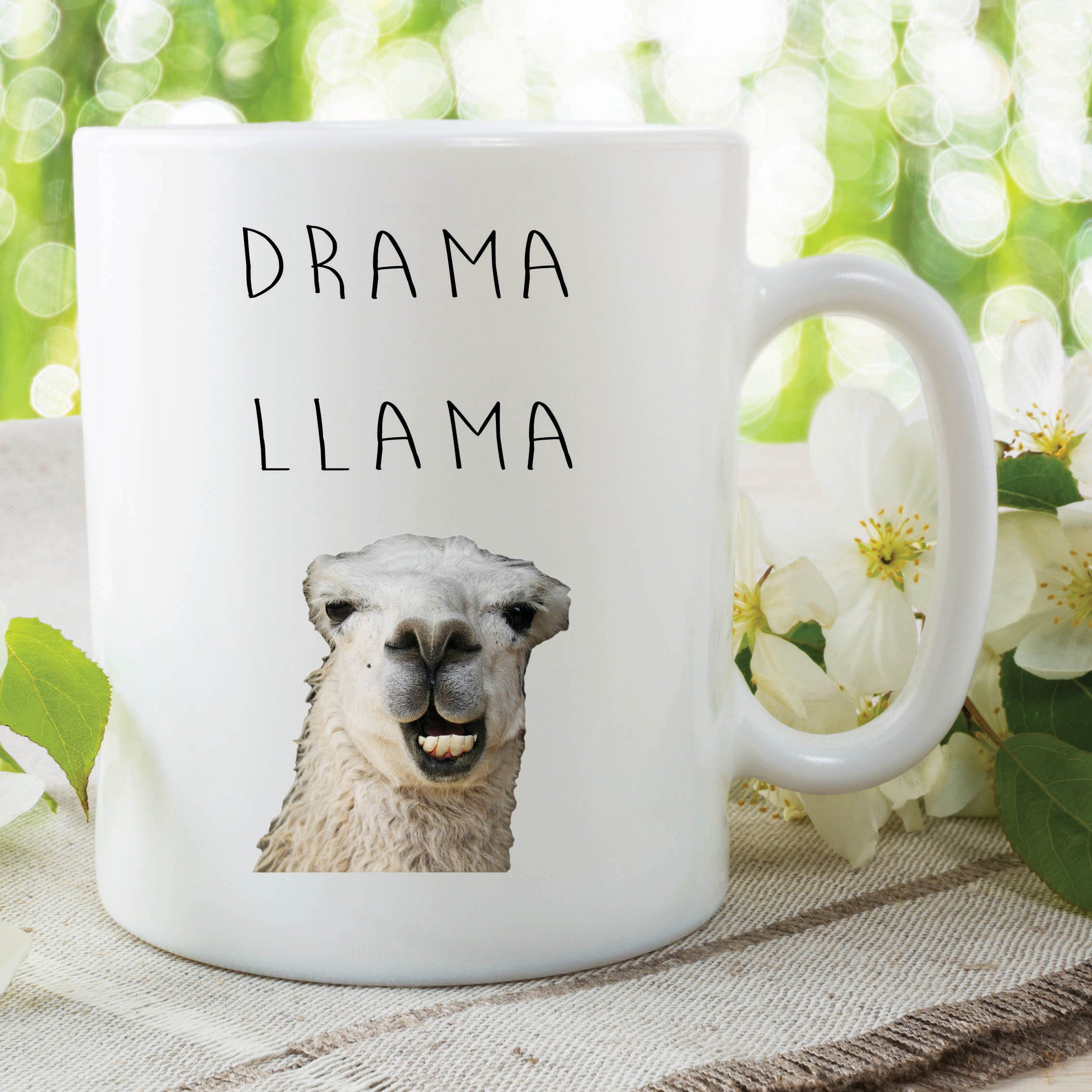 Funny Novelty Mugs Joke Adult Humour Drama Llama Work Office Coffee WSDMUG615