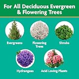Miracle-Gro Tree & Shrub Plant Food Spikes 12-Count 15-5-10 NPK view 3