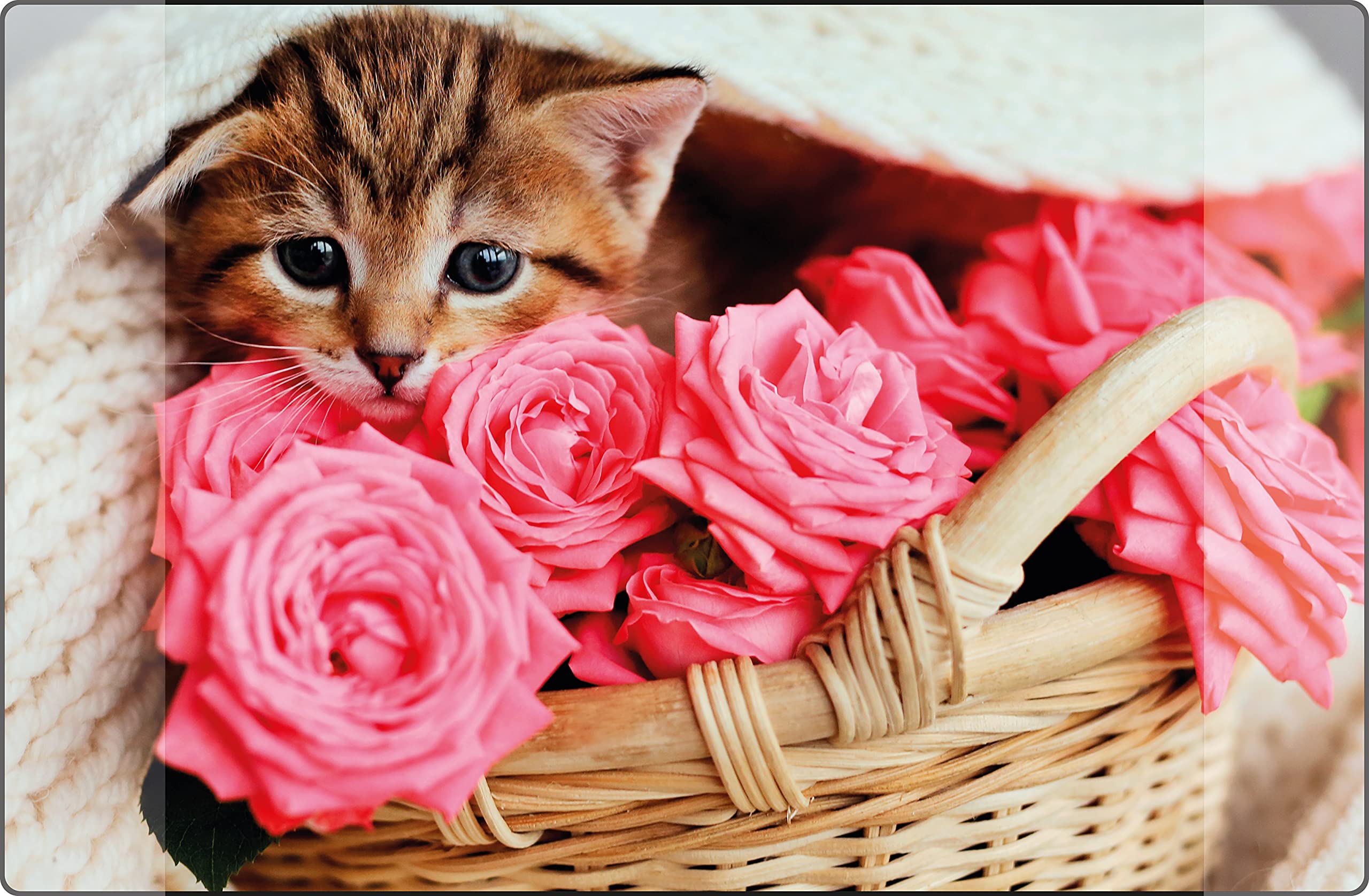 K-0014D118 Desk Mat Kangaro Cat Non-Slip 38 x 58 cm with Two Pockets for Children, Teenagers and Study