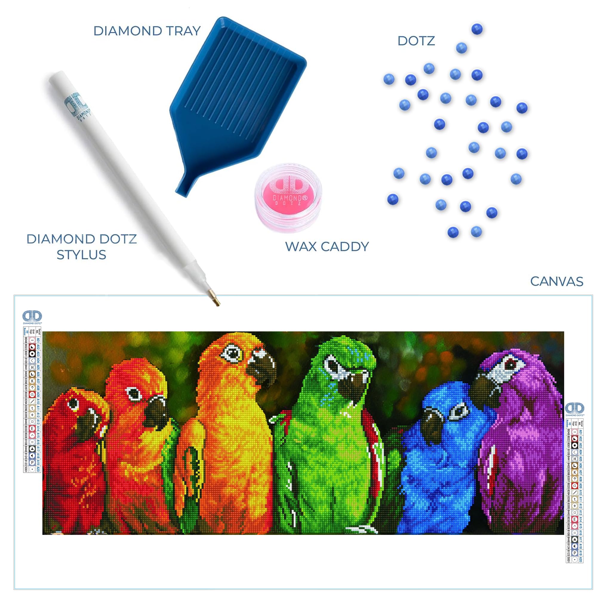 View 5