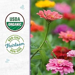 Back to the Roots 100% Organic Seed Packet - Zinnia