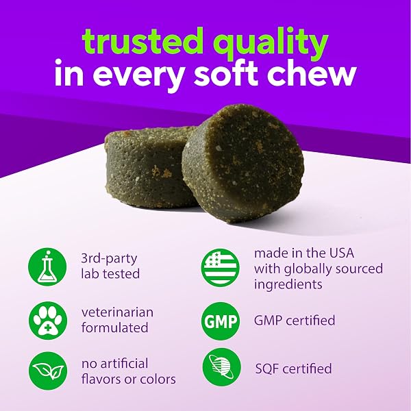 VITAFUSION FOR DOGS SKIN & COAT SUPPLEMENT, OMEGA 3 SALMON OIL & VITAMIN E – SUPPORTS HEALTHY SKIN, SHINY COAT & MOISTURE BALANCE, VET FORMULATED 120 CHEWS.
