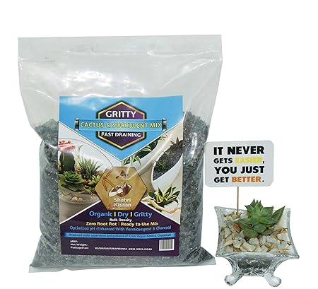 SHEHRI KISAAN  Organic Cactus and Succulent Dry Fast Draining Porous Gritty Soil Mix Perfect as Terrarium Soil-with Pumice, Vermicompost, Activated Charcoal and Perlite Powder