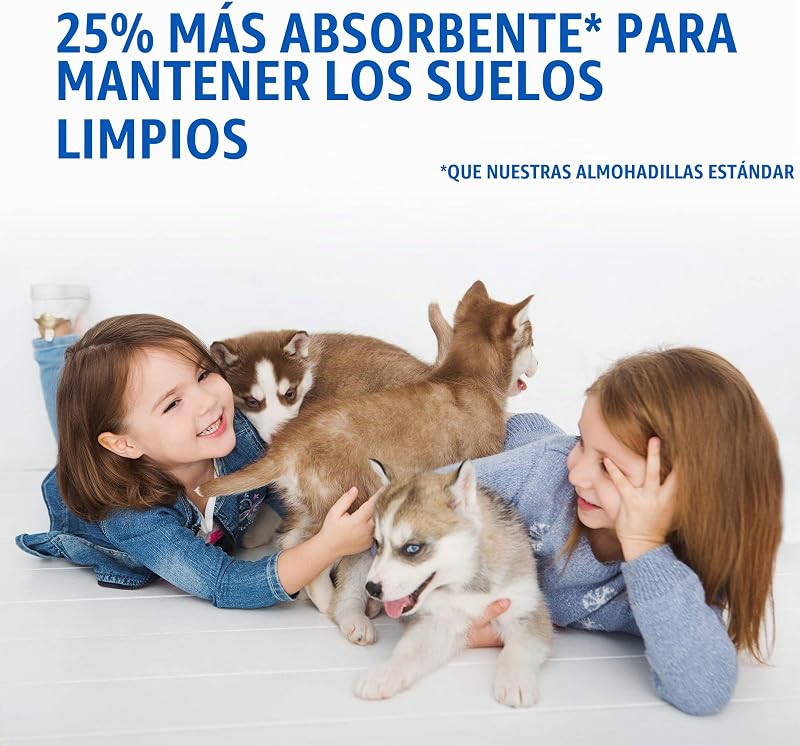 PetCare out IR aquí Almohadillas de Entrenamiento para Perros (Pack de 100)