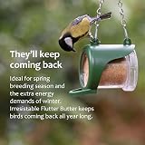 Jacobi Jayne Flutter Butter EcoRefills Peanut Butter for Birds 6 Pack Buggy view 5