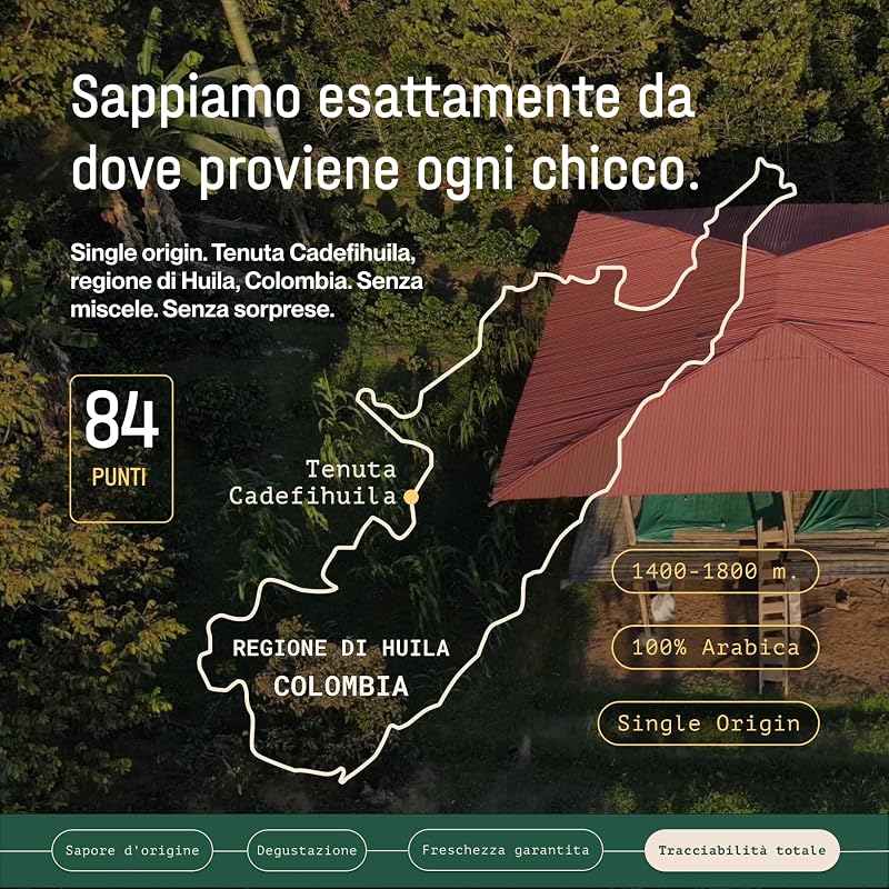 Caffè in Grani di Specialità 1kg | Origine Colombia | 100% Arabica | +80 punti SCA | Tostatura Naturale e Artigianale | Caffè Grani Naturale | Finca Huila, Cadifihuila