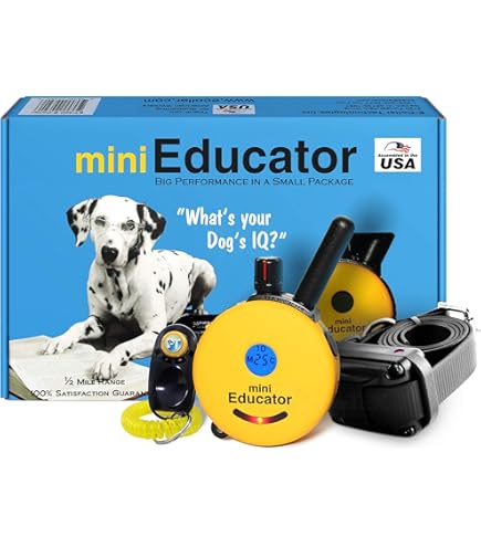 mini educator vibrate only The Mini Educator E-Collar uses a method known as “e-stimulation, “ a type  of static electrical stimulation, used to get your dog’s attention. This  stimulation is not a ‘shock’, but instead is main image 0