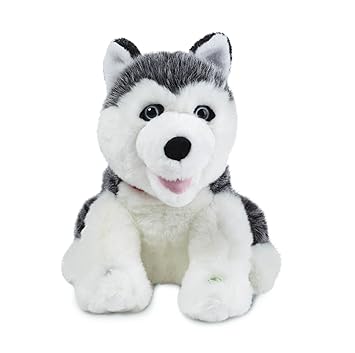 Smarty Ants Phonics Reading Pup Husky