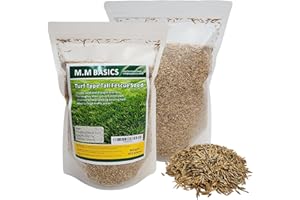 Turf Type Tall Fescue Seed for Lawn in Canada (Turf Type Tall Fescue Seed 450 Grams)