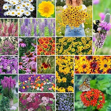 Amazon Best Sellers: Best Plants, Seeds & Bulbs