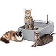PetSafe Multi-Cat Litter Box, Extra Large Litter Box for Cats, Giant Ergonomically-Designed Scoop, Use with Crystal or Clumping Litter
