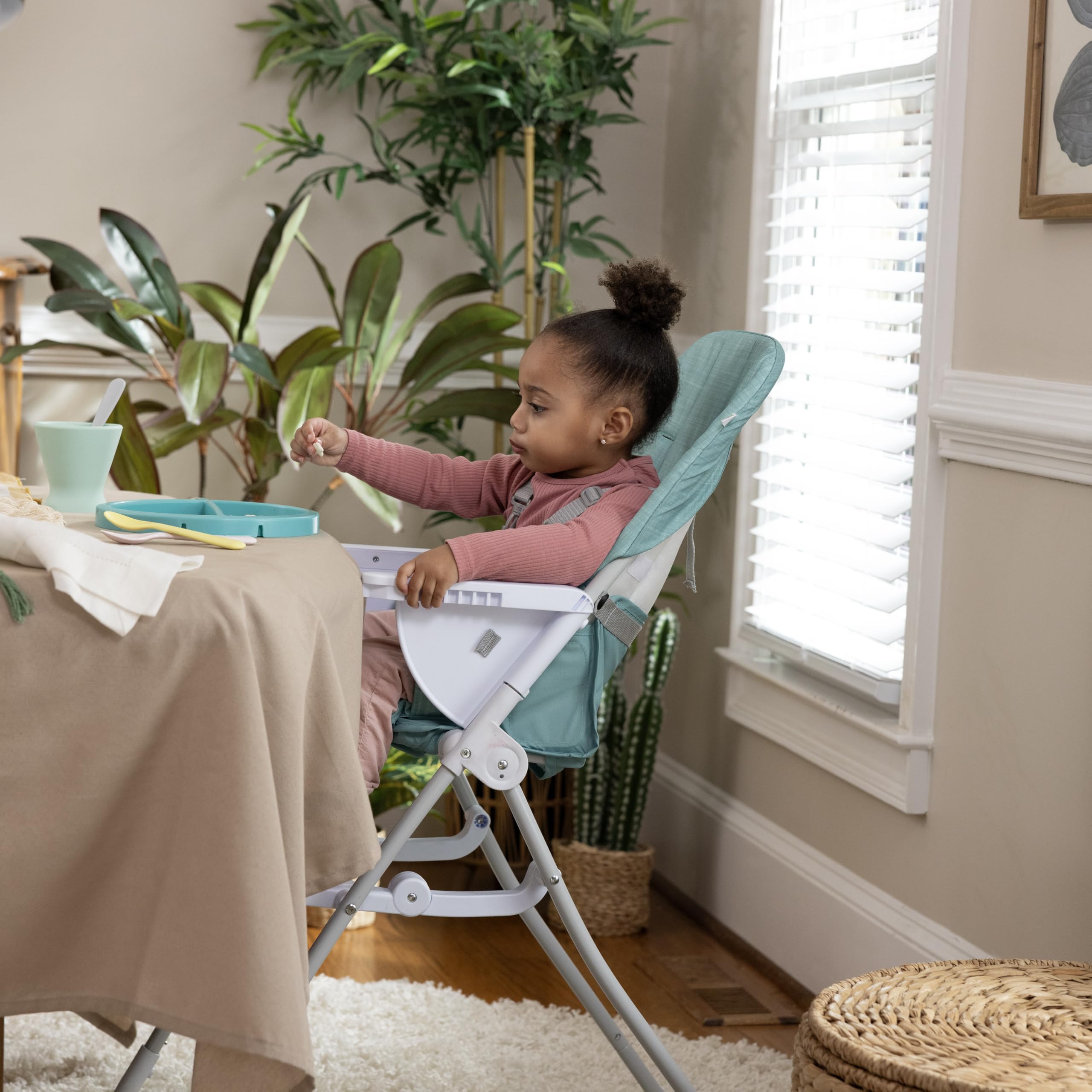 Ingenuity Sun Valley Compact Folding Baby High Chair, Food-Grade Safe Plate, 5-Point Harness, for Ages 6 Months and Up, Unisex - Teal