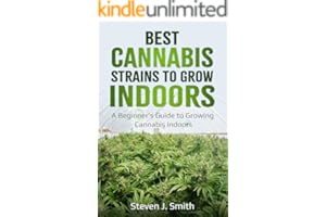 kindle best category lists