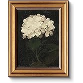 HUARCEY Gold Framed Vintage Wall Art for Living Room, Flowers Painting Canvas Prints Shelf Decor for Kitchen, Aesthetic Bedroom Wall Art, Christmas Gifts for Friends or Family (White Hydrangea 8