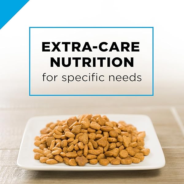 PURINA PRO PLAN FOCUS INDOOR CARE TURKEY RICE DRY ADULT 11+ CAT FOOD (7 LB)