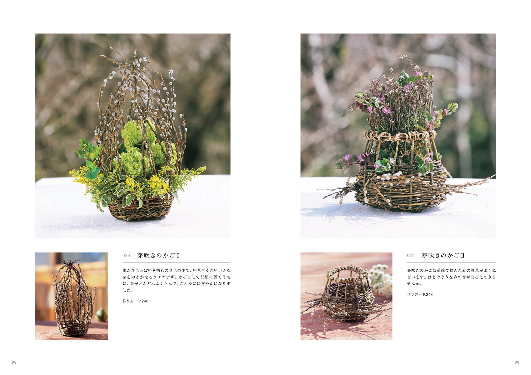 草 つる 枝でつくる編みかご100 身近な自然で編むかごとリース 素材の採集方法から編み方まで Amazon Co Uk Books