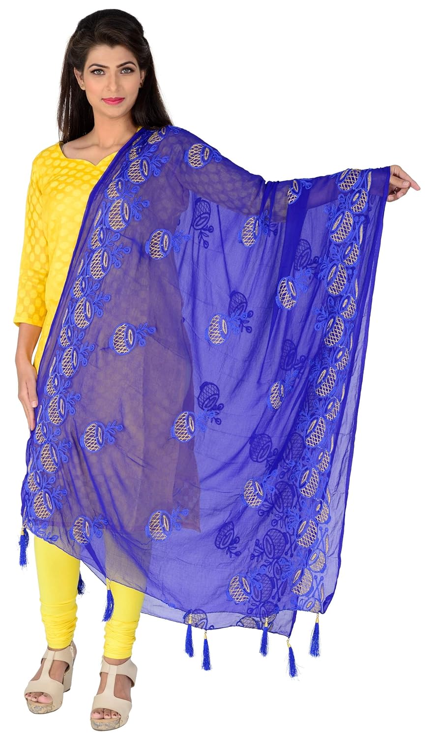 lionize women's pure chiffon embroidered dupatta with tussels at pallu