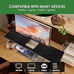 LOTEYIKE Dual Monitor Stand for 2 Monitors, Large