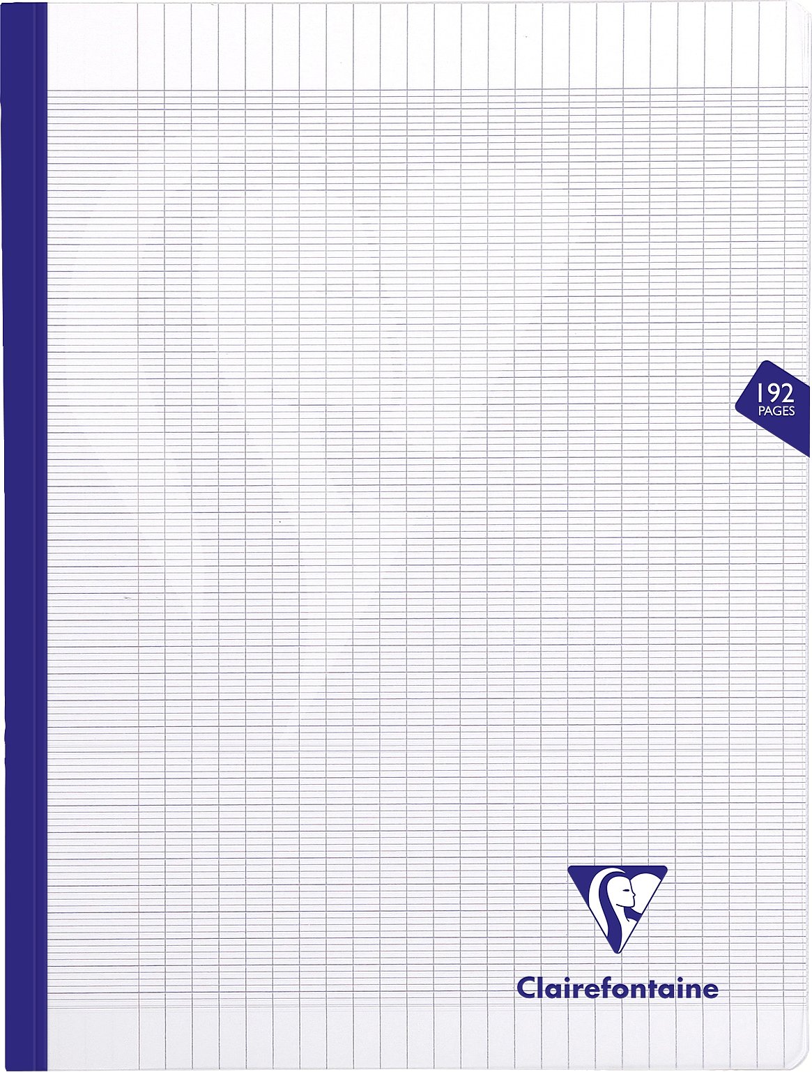 Clairefontaine 399341C - One Notebook Sewn Thread Mimesys Colourless - Dimensions: 24x32 cm - 192 Pages Seyes Ruled - White Paper 90 g - Polypro Cover