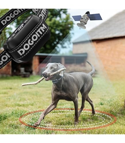 Dog Training Collar With Remote 600M Wireless Electric Dog Fence