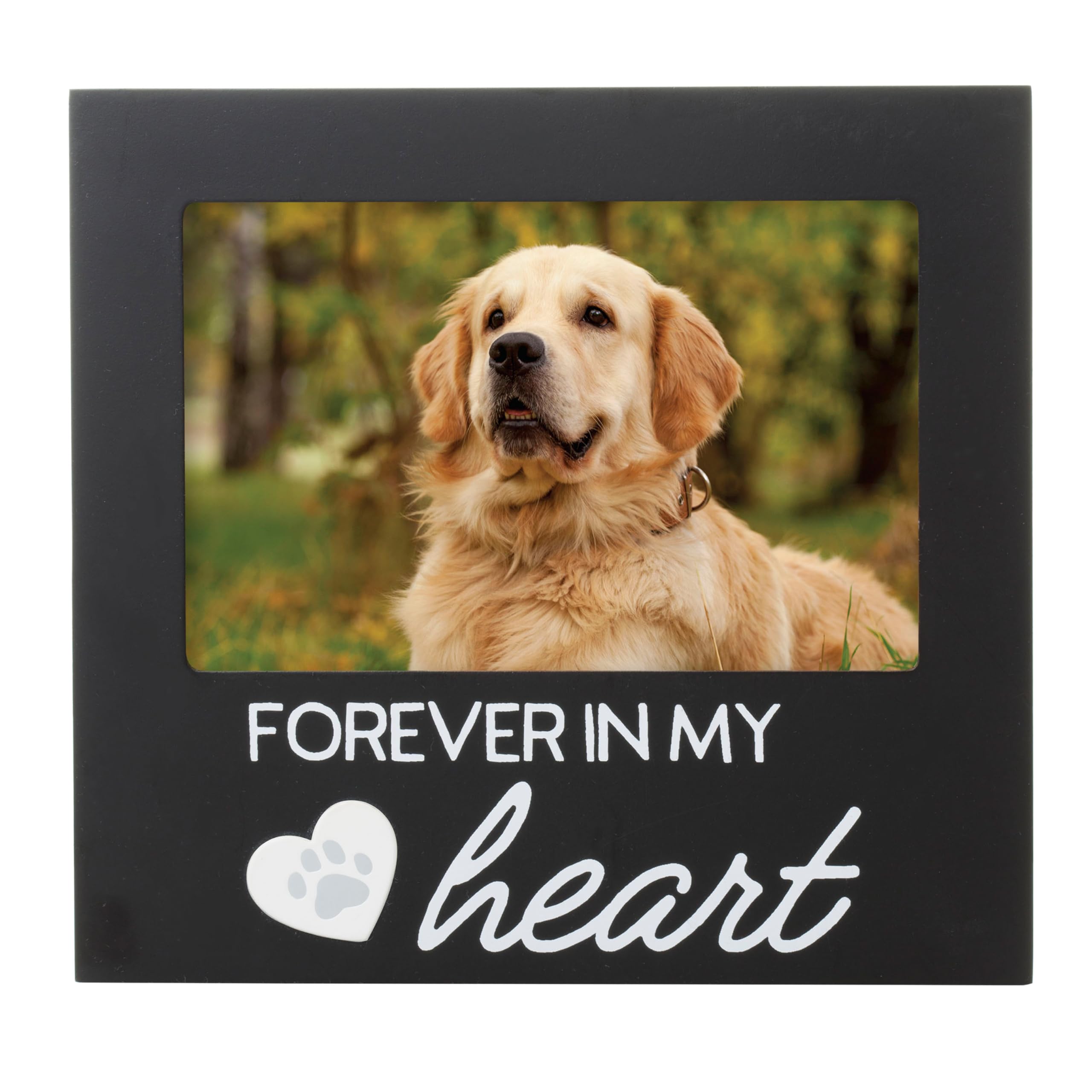 Pearhead Forever In My Heart Pet Memorial Keepsake Picture Frame, Ideal Remembrance and Sympathy Gift for Dog and Cat, Pet Loss Keepsake Photo Frame, Black