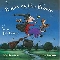 Room on the Broom: Donaldson, Julia: 9781405047302: Amazon.com: Books