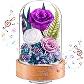 Eterfield Flowers for Delivery Prime, Valentine’s Day Preserved Roses Gifts for Women - Forever Flower in Glass Dome Birthday Gifts for Mom Wife Grandma Her (Purple, Cylindrical)
