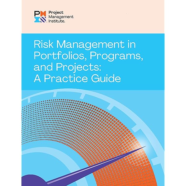 Amazon.com: The Standard for Portfolio Management eBook : Project