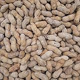 Barcelona Nut Inshell Peanuts Salted & Roasted - 10