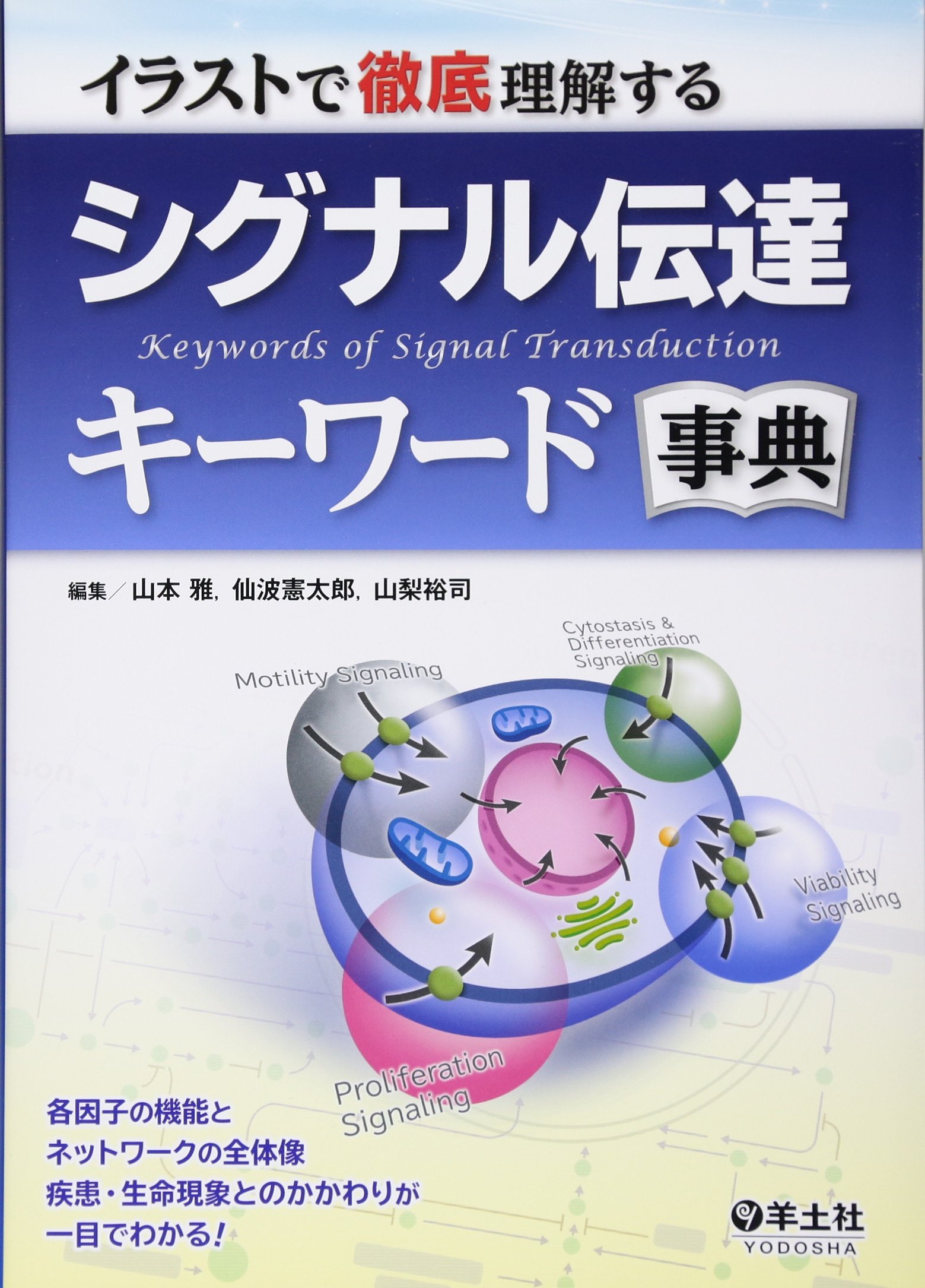 イラストで徹底理解する シグナル伝達キーワード事典 山本 雅 仙波 憲太郎 山梨 裕司 本 通販 Amazon