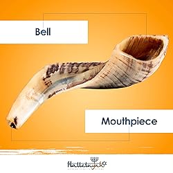 HalleluYAH Authentic Ram Shofar