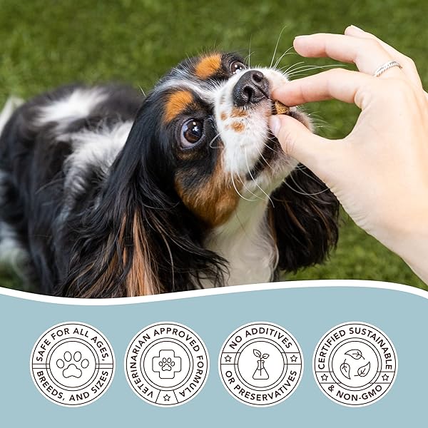 NATURAL DOG COMPANY TRAINING TREATS, PEANUT BUTTER AND JELLY, TINY SIZE, ALLERGEN-FREE INGREDIENTS, 8 OZ BAG