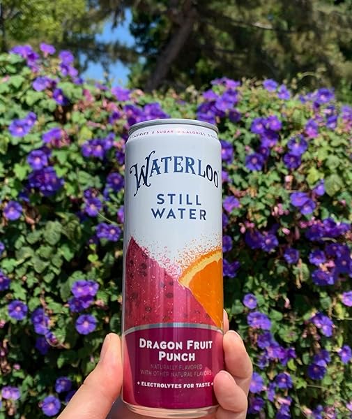 WATERLOO STILL WATER, DRAGON FRUIT PUNCH NATURALLY FLAVORED PURIFIED WATER | 12 FL OZ CANS (PACK OF 12) – ZERO CALORIES AND ZERO SUGAR OR SWEETENERS