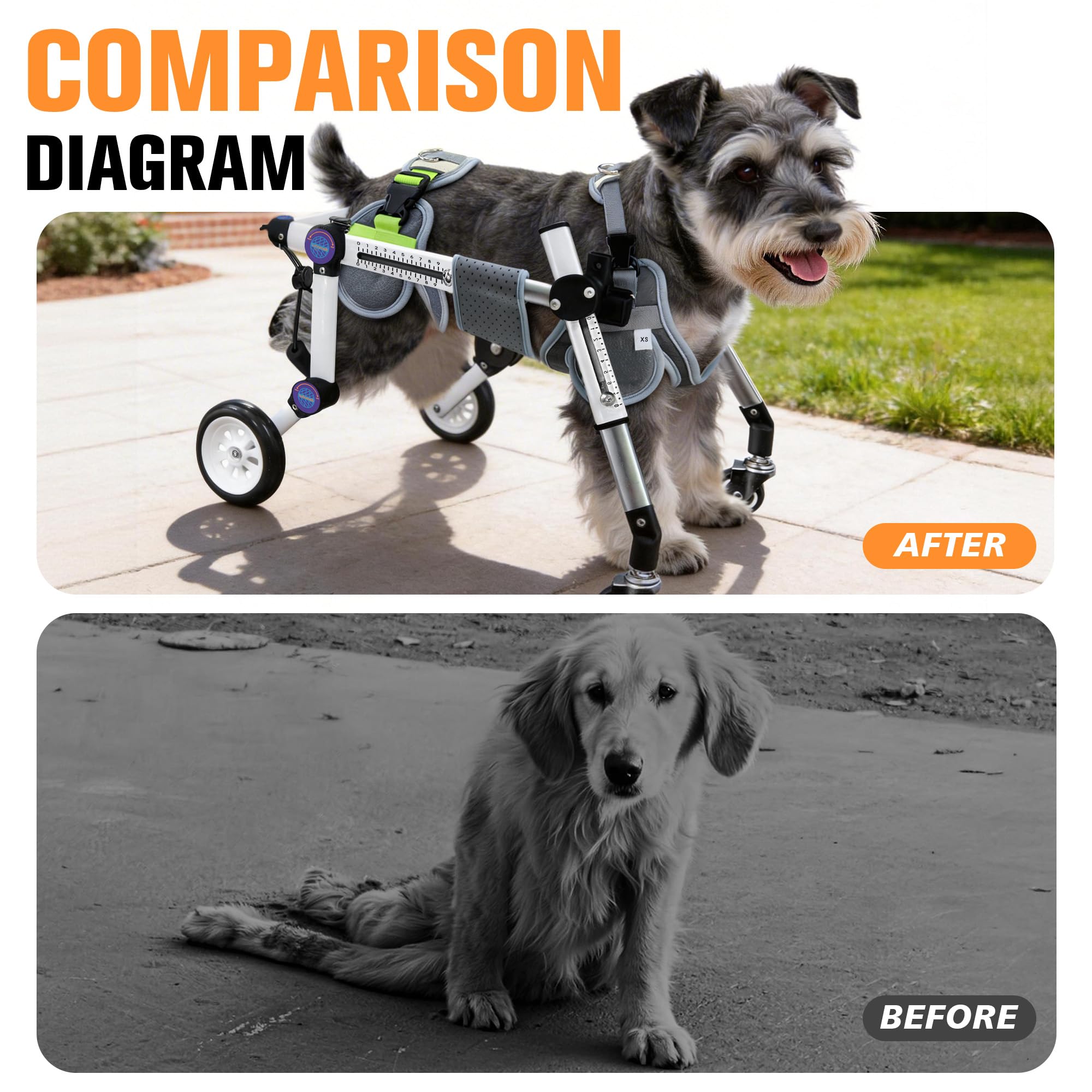 Condition photo showing New/Like New for letpetrun dog wheelchair 4 wheels adjustable, full body support dog cart for front & rear legs, ligh