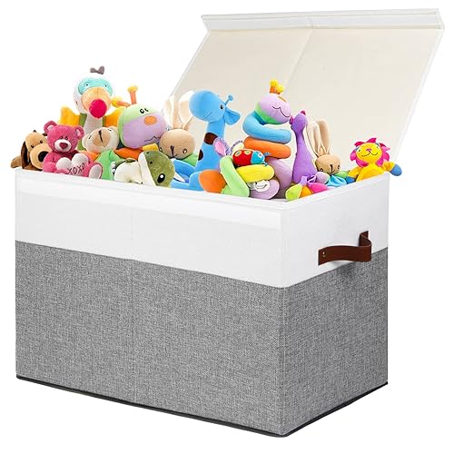 Large Toy Storage Box with Lid, Sturdy Toys Storage Chest Bin